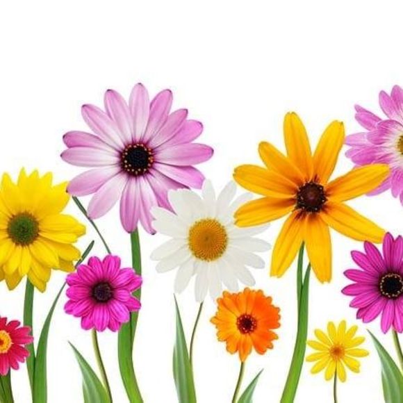 Meet your Posher, Tammy - Picture 1 of 1